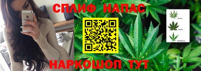 сатива Ирбит